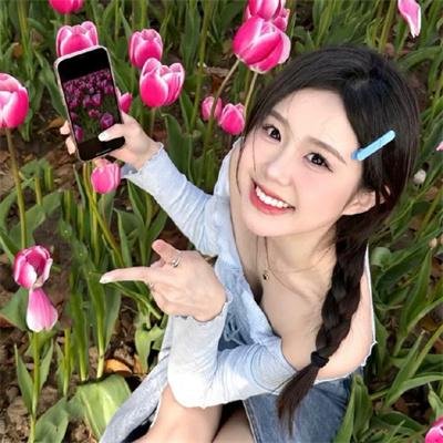 帮帮我托德第二季